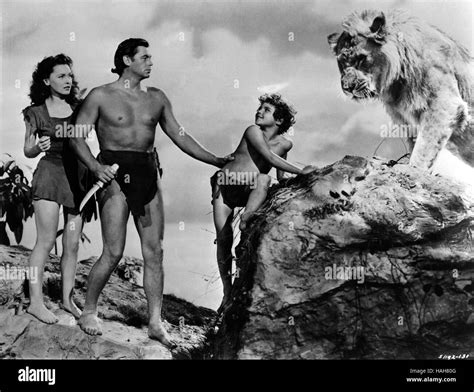 Tarzan Finds A Son Year 1939 Usa Director Richard Thorpe Johnny