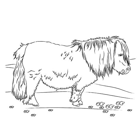 Het paard is door de eeuwen heen voor de mens voor allerlei doeleinden zeer waardevol gebleken. Leuk voor kids | Shetlander | Knutselen hond, Kleurplaten ...