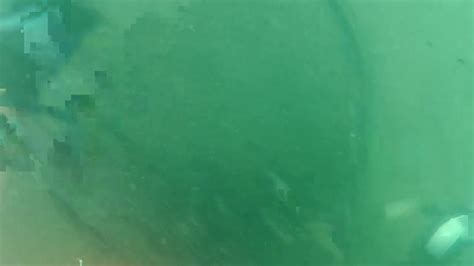 Raystown Lake Party Cove Underwater Finds Youtube