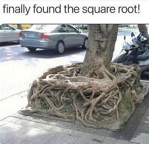 6 Hilarious Cube Root Puns Punstoppable 🛑