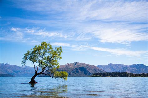 10 Beautiful Places You Need To Visit In New Zealands South Island