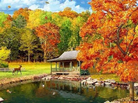 Autumn Viewreally Cozy Looking Fall Wallpaper Nature Wallpaper