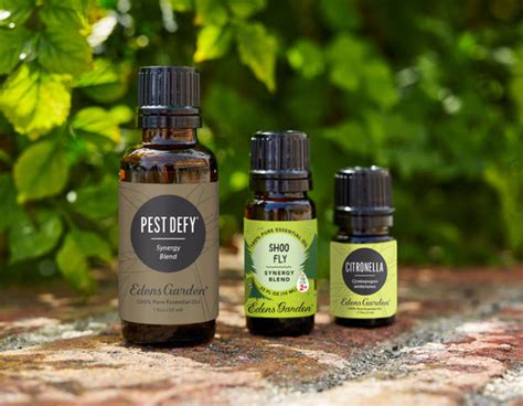 9 Essential Oils That Can Help Repel Bugs Edens Garden