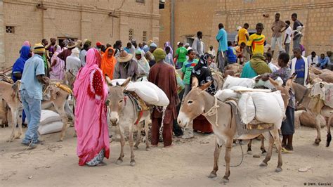 Life In Timbuktu After The Islamists Africa Dw 08052013