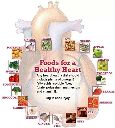 Healthy heart | Heart healthy recipes cholesterol, Heart ...