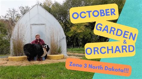 October Garden Tour Cleaning Up And Orchard 4k Youtube