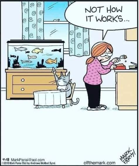 Pin By Colleen Crowley On Cat Toons Funny Cartoons Jokes Cat Jokes