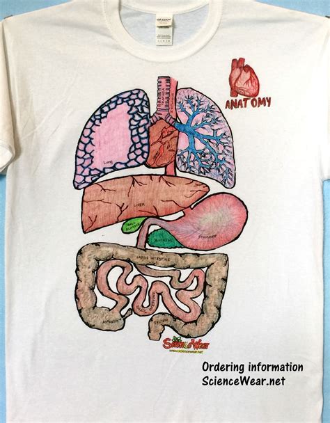 Anatomy Project That Not Only Helps Students Remember Organs And Their
