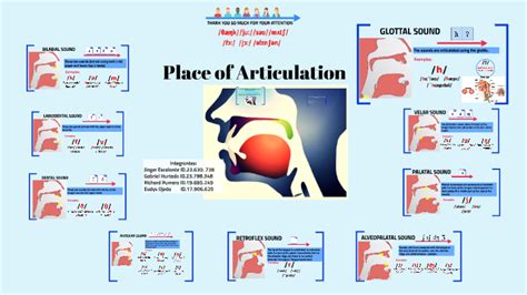 place of articulation consonants chart