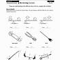 Types Of Levers Worksheets