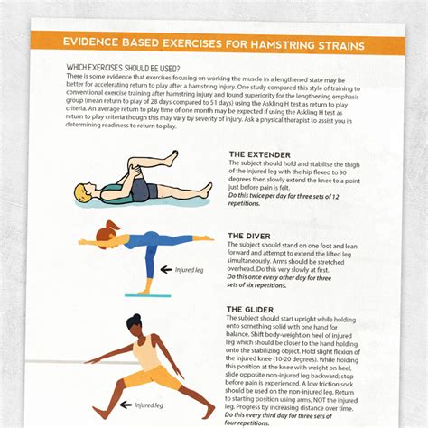 Evidence Based Exercises For Hamstring Strains Adult And Pediatric Printable Resources For