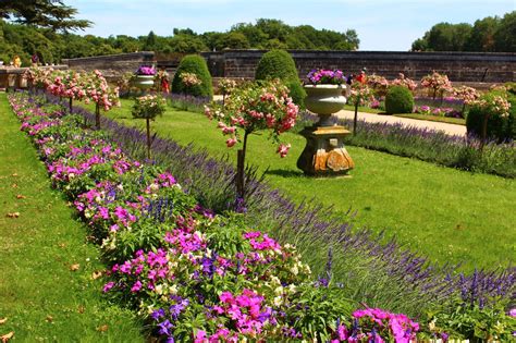 Mcculloch, mtd, murray, stiga, alpina,. Roses du jardin Chêneland: Jardin de Catherine de Médicis à Chenonceau