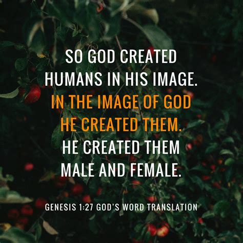 Compare Genesis 127 God Created Humans In His Image Gods Word