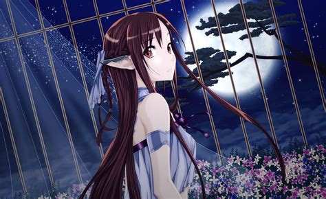 Asuna Yuuki Wallpapers Images Photos Pictures Backgrounds