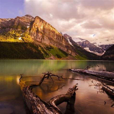 Sunrise Over Lake Louise Alberta The Canadian Rockies Is A Picture