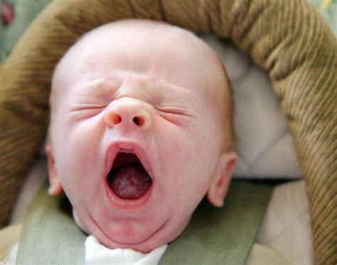 Tiny Infant With Big Yawn Stock Photos Image 14277093
