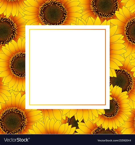 Orange Yellow Sunflower Banner Card Royalty Free Vector