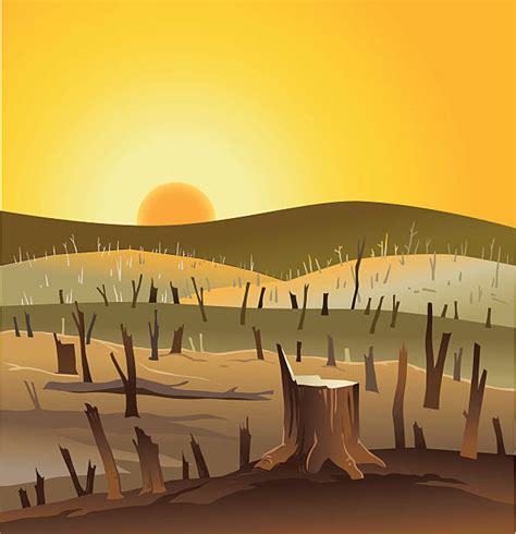 Best Deforestation Illustrations Royalty Free Vector Graphics And Clip