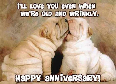 Most Funny Anniversary Quotes Hilarious Happy Wedding Anniversary Wishes