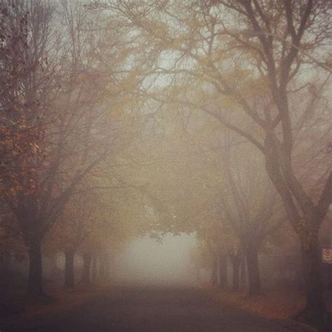 Foggy Morning Walk Paul Joseph Flickr