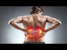 Kidney pain and back pain can be difficult to distinguish, but kidney pain is usually deeper and higher in the and back located under the ribs while the kidney pain can be prevented by avoiding those situations that are the underlying causes of. 7 Things to Know About Kidney Function | National Kidney ...