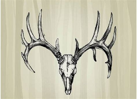 10 Impressive Deer Tattoo Designs That You Can Try In 2022 Deer
