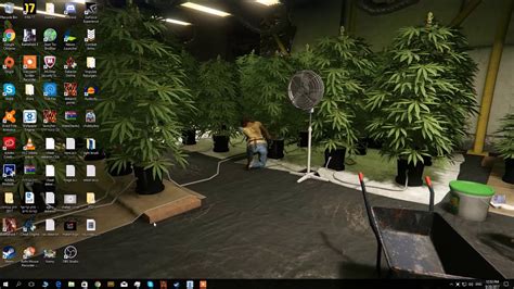 Weed Wallpaper Video Youtube