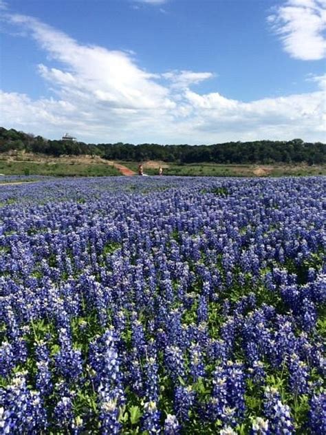 Muleshoe Bend Recreation Area Spicewood All You Need To Know