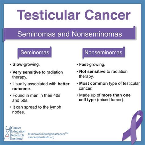 Testicular Cancer Types Testicular Cancer Diagnosis And Treatment