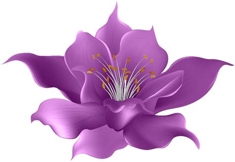 Download High Quality Transparent Flower Purple Transparent Png Images