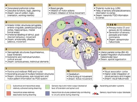 Pin On Speech Therapy