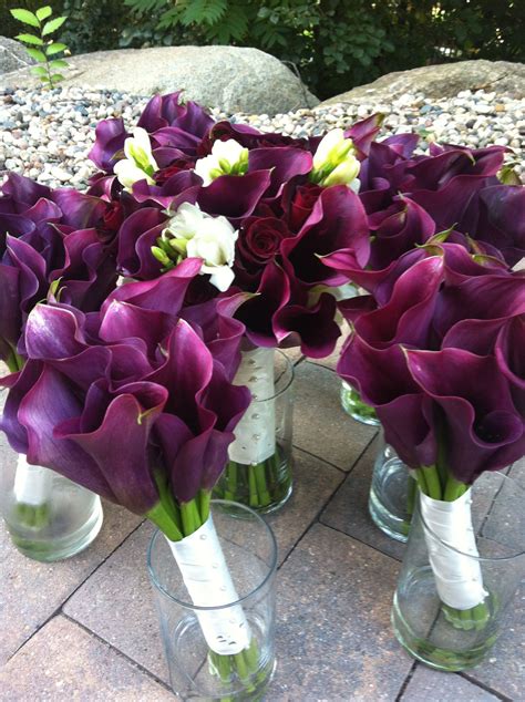 The name comes from the fruit called a plum. Wine colored wedding, purple calla lilies, baccara roses ...