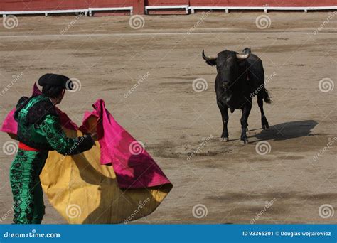 Bull Fight In Peru Editorial Photo Image Of October 93365301