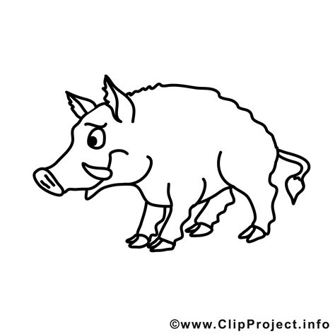 Schweine über 100 kg können geschlachtet werden. Schwein Bild zum Ausmalen, Malvorlage