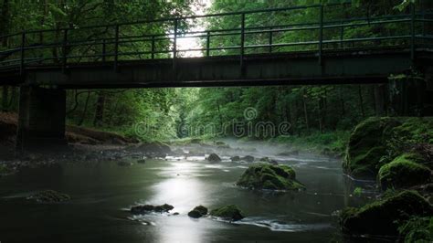 River With Rocks Under Bridge Surrounded By Green Leaf Trees During
