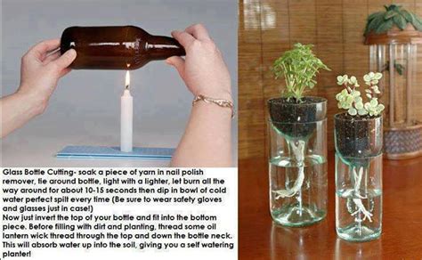 Wonderful Diy Cutting Glass Bottles For Self Watering Planter