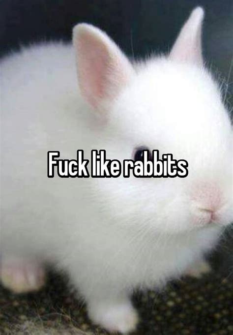 Fuck Like Rabbits