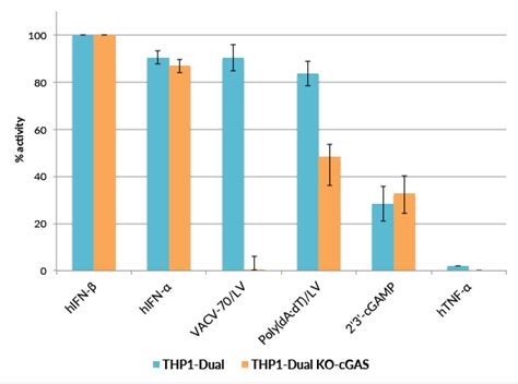 Cgas Knockout Ifnnf Kb Reporter Thp1 Monocytes Invivogen