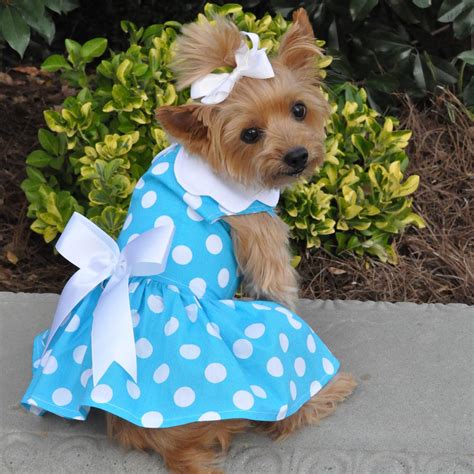 Blue Polka Dot Dog Dress With Matching Leash Baxterboo