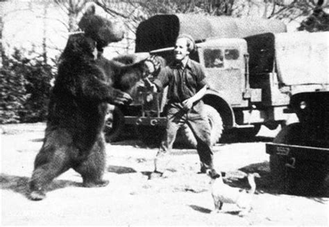 Forgotten Friday The Bear Soldier Of The Second World War Eden Camp