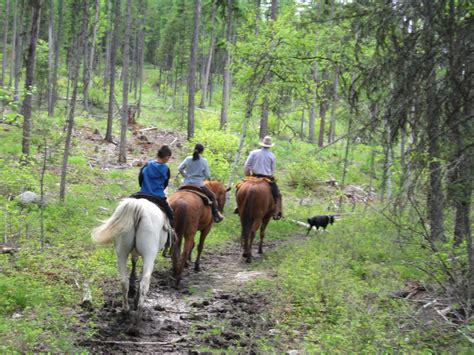 I Goto Us Horseback Riding In Whitefish Montana