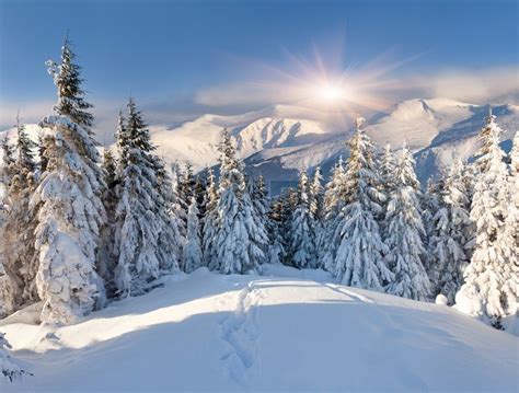 Beautiful Winter Landscape In The Mountains Stock Photo
