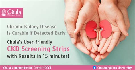 Chulas User Friendly Ckd Screening Strips With Results In 15 Minutes