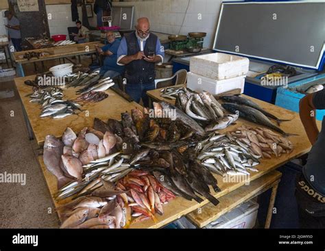 Fishes In The Local Fish Market North Governorate Tripoli Lebanon