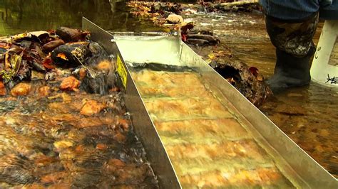 You have seen our alaskan gold videos, now get an up close look at gold fever prospecting's dredge camp in alaska!that's right, we take you on a tour of the. How to Sluice for Gold: Gold Fever Ep164 Clip - YouTube