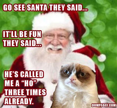 Grumpy Cat Christmas Meme Santa Wallpaper Desktop HD X Beautiful Cat Wallpapers