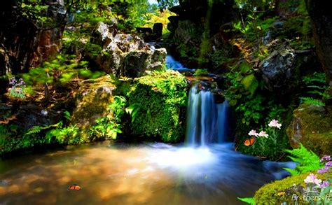 Live Waterfall Wallpaper Screensaver 55 Images Moving Wallpapers