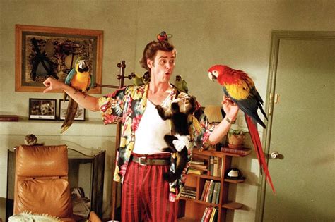 Is Ace Ventura Pet Detective Better Left Forgotten The Mary Sue