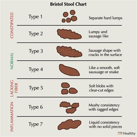Types Of Poop What Doctors Need You To Know The Healthy Readers Digest