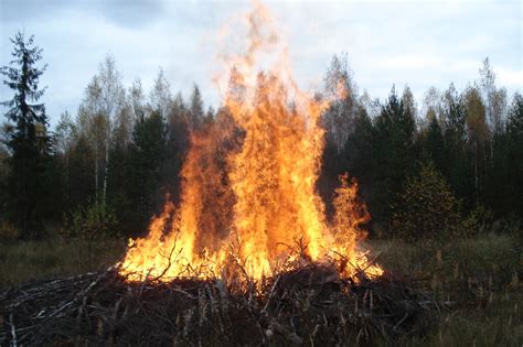 Images Gratuites Forêt Faune Flamme Feu De Camp Feu Incendies Hot Sex